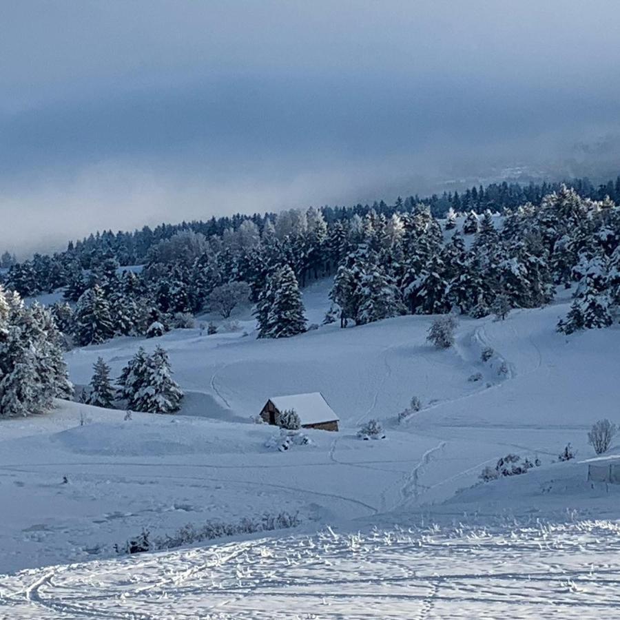 Chalet Le Lagopede La Joue du Loup Eksteriør billede